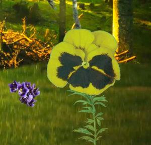 pw-voxhorti