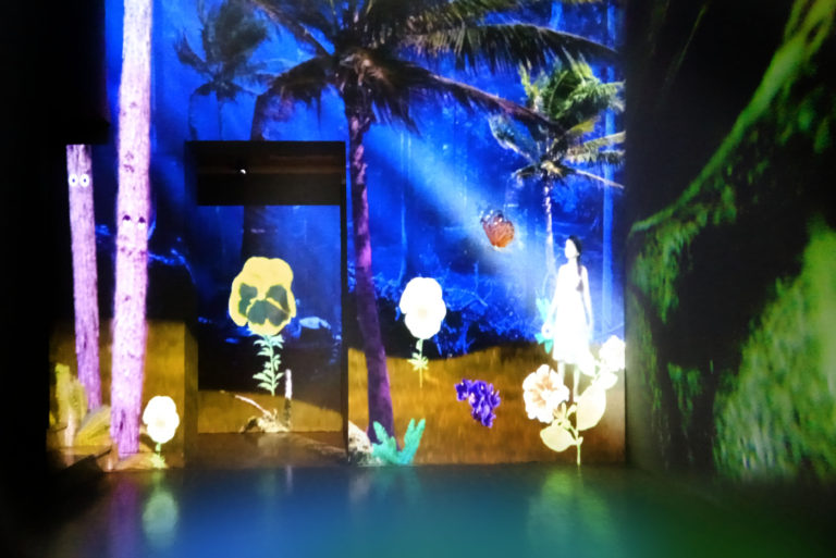 Percorso Vox Horti al Museo Meina