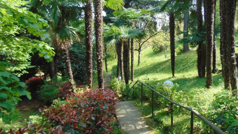parco_museo_meina_sentiero
