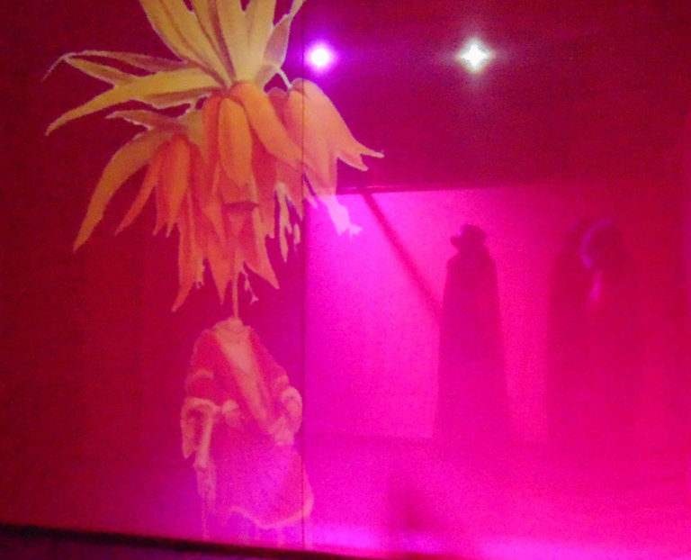 labirinto-digitale-museo-meina